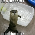 hey im a river otter