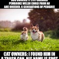 Cat owners