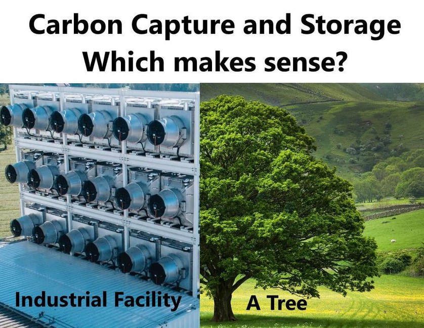 Carbon capture and storage - meme