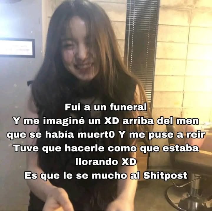 Los shitposters tenían buenos memes.... Los shitposters*
