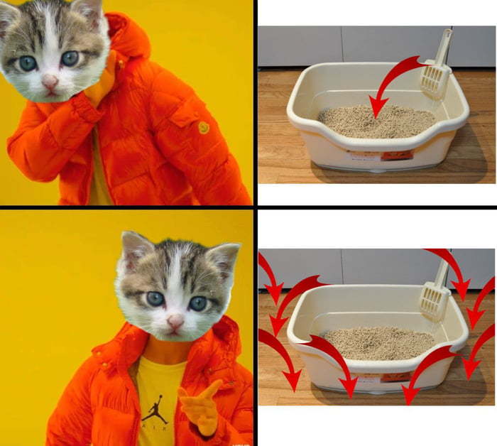 Kittens be like - meme
