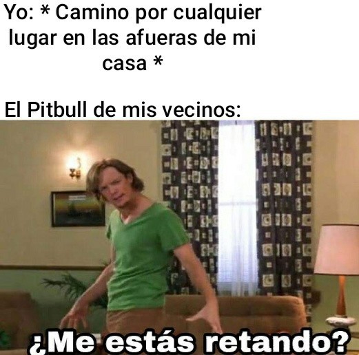 Pitbull - meme