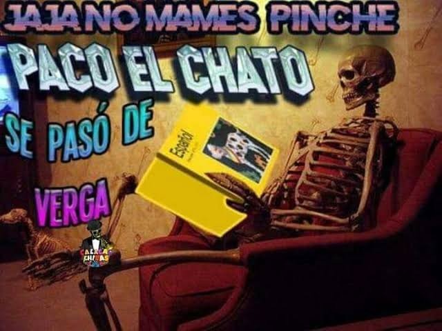 Pacoelchato - meme