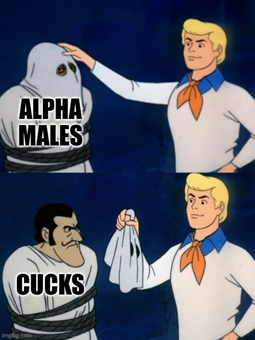 Alpha males that like Andrew Tate - meme