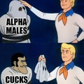 Alpha males that like Andrew Tate