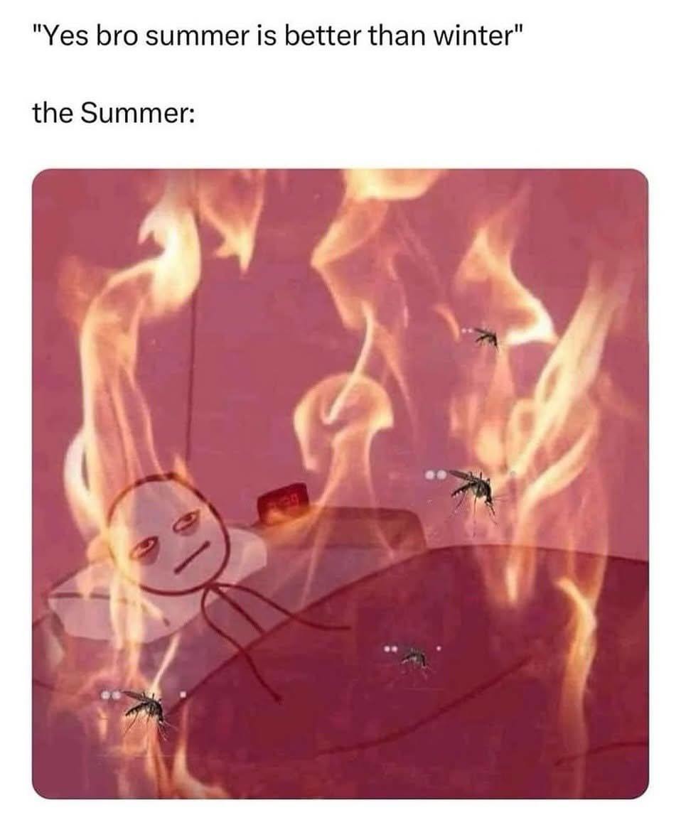 Summer vs Winter - meme