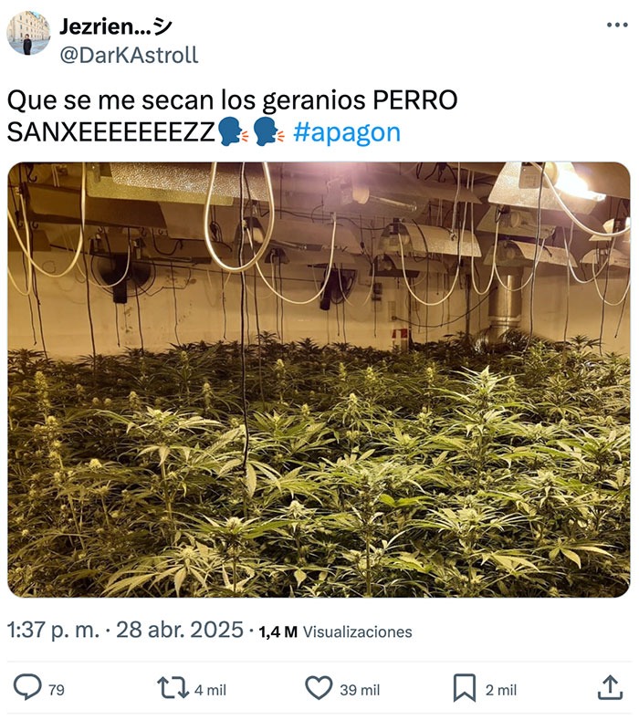 se me secan los geranios y la culpa es de sanxe según twitter - meme