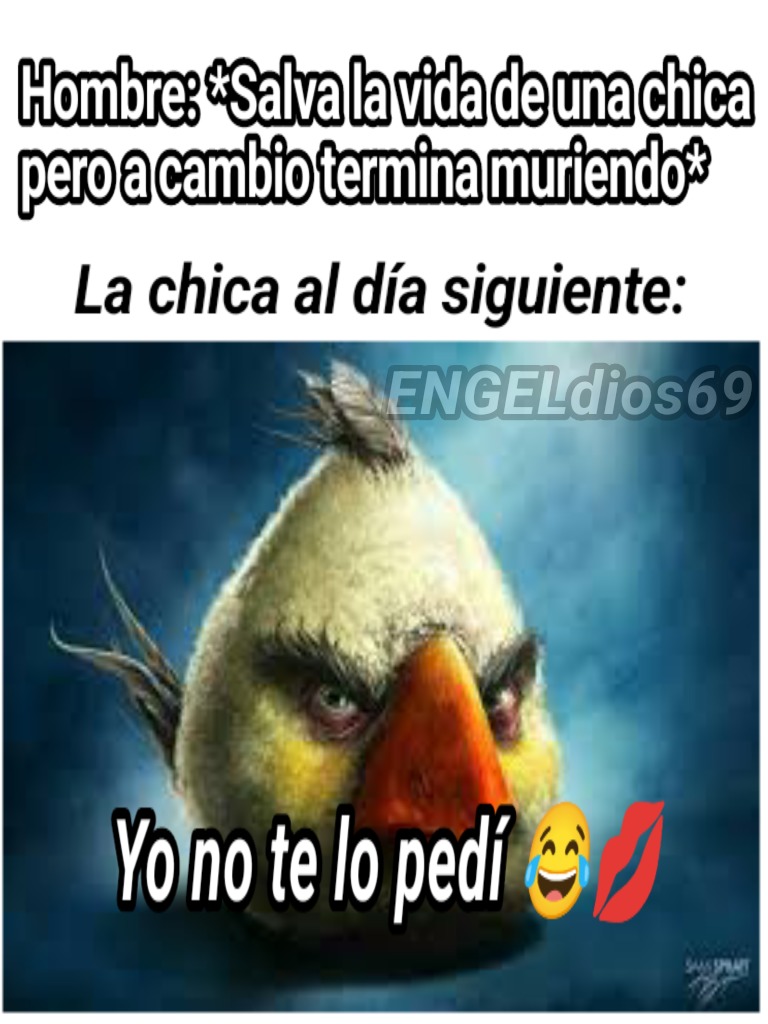 No arriesguen su vida por una perra amigos - meme