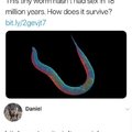 18 million years without sex