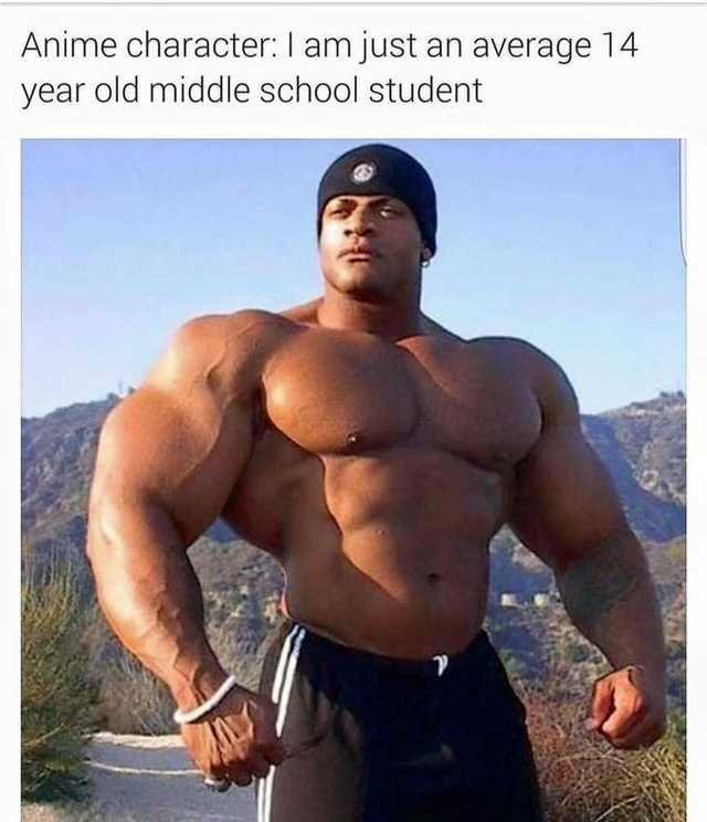 Anime character: just an average 14 year old student - meme