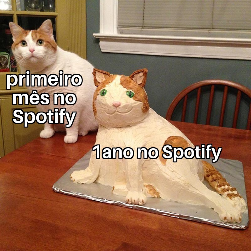 Minha experiência com Spotify - meme