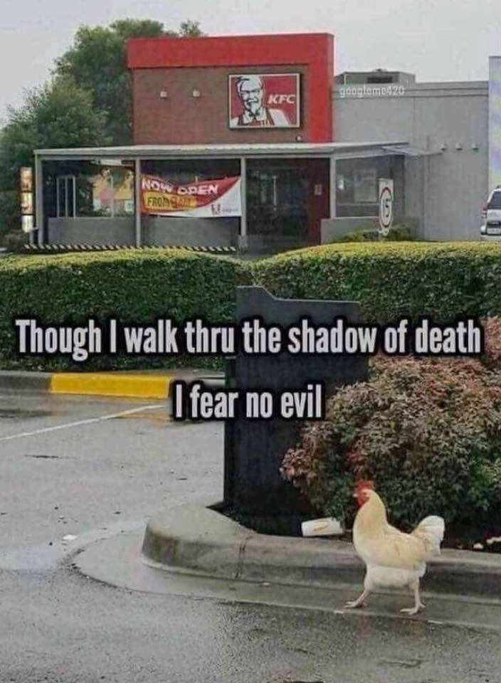 Brave chicken lol - meme