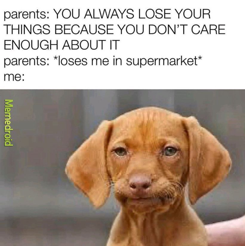 You guys are getting parents? - meme