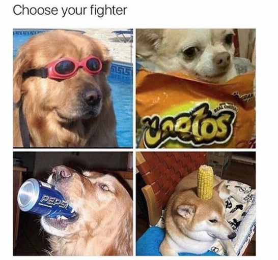 Choose your fighter! - meme