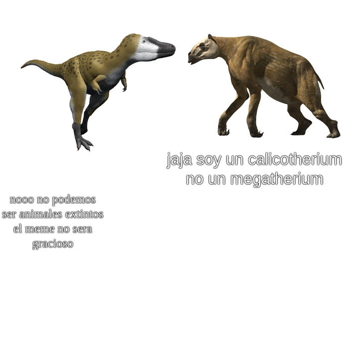 el calicotherium no es un oso perezoso gigante el perezoso gigante fue el megatherium - meme