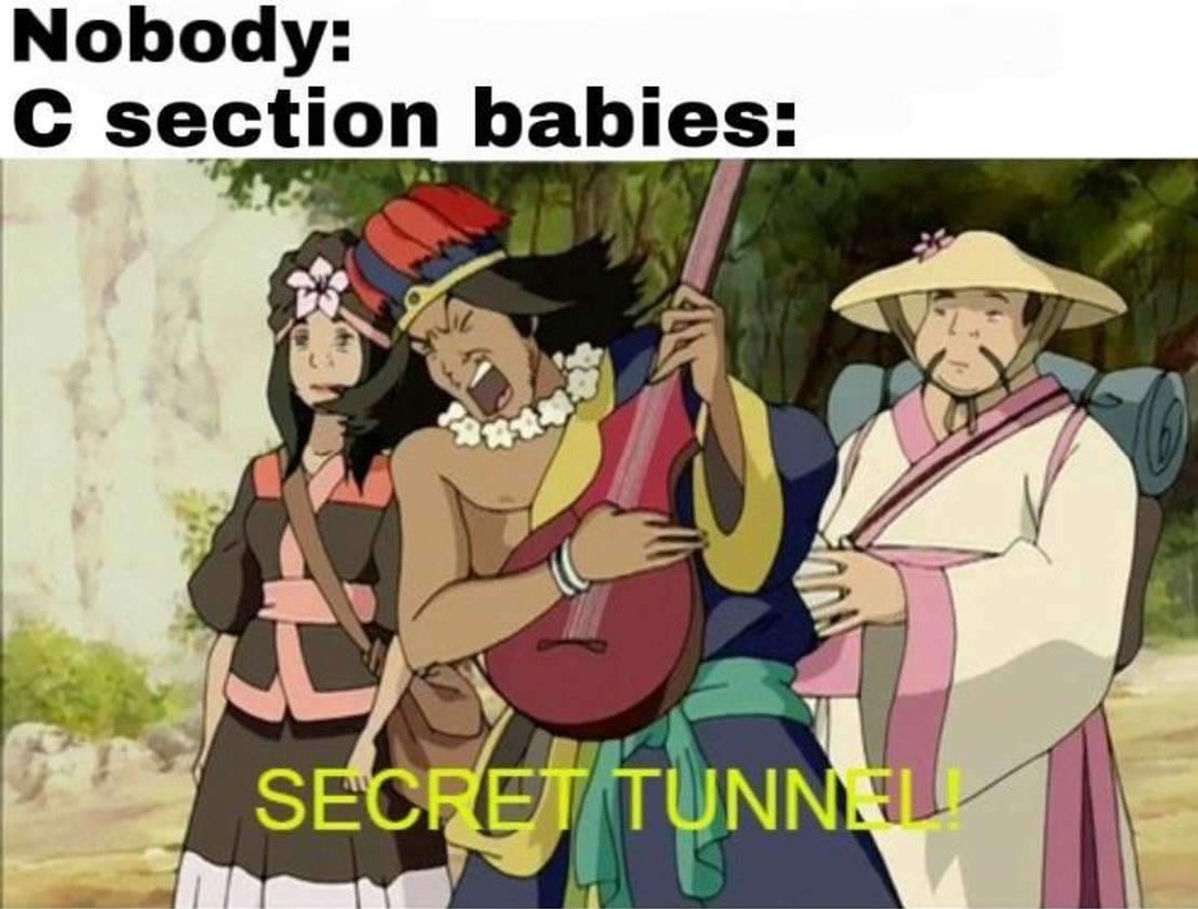 Secret tunnel best song ever (sorry if repost) - meme