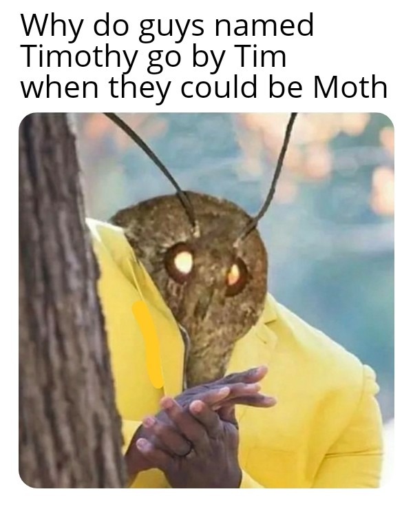 Moth, man you've grown - meme