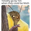 Moth, man you've grown