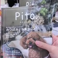commented item thumbnail