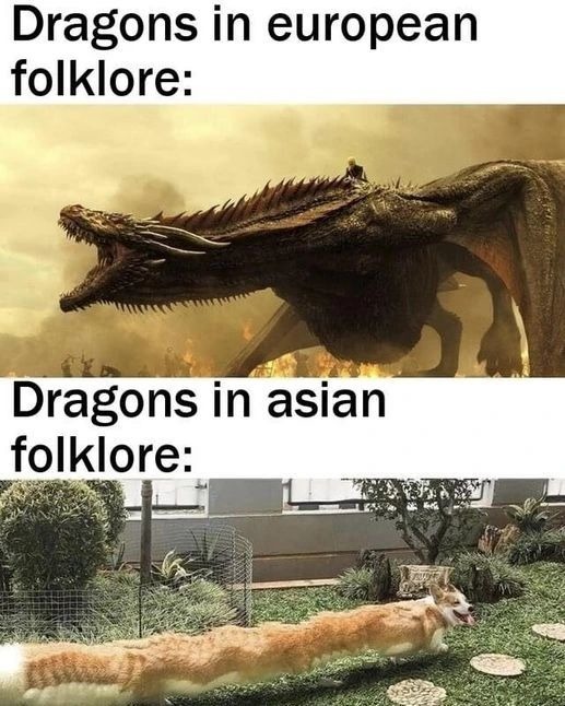 Dragón - meme