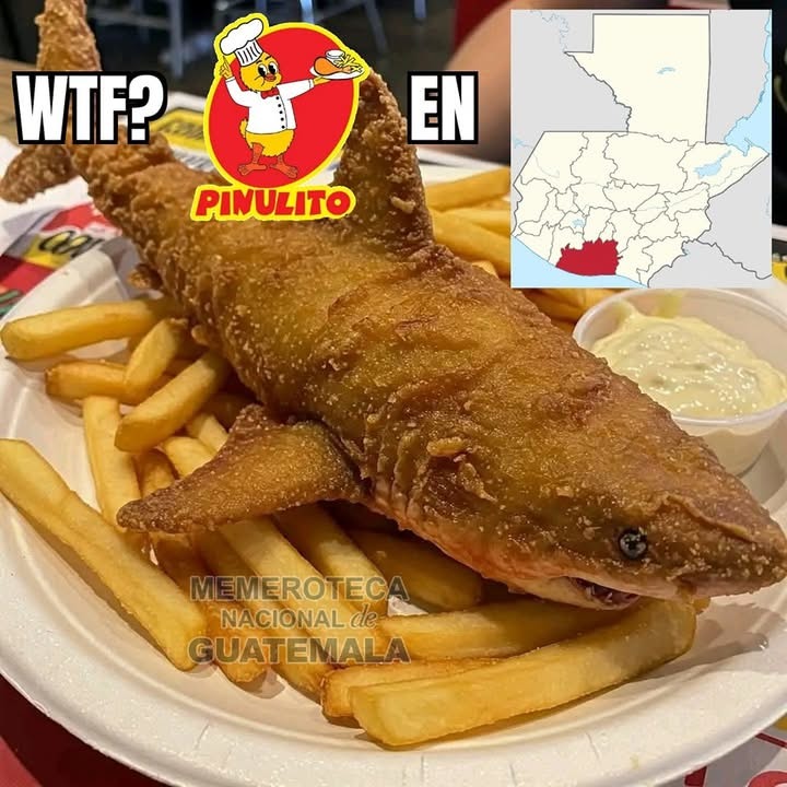Soy su dios putas perras memedroiders