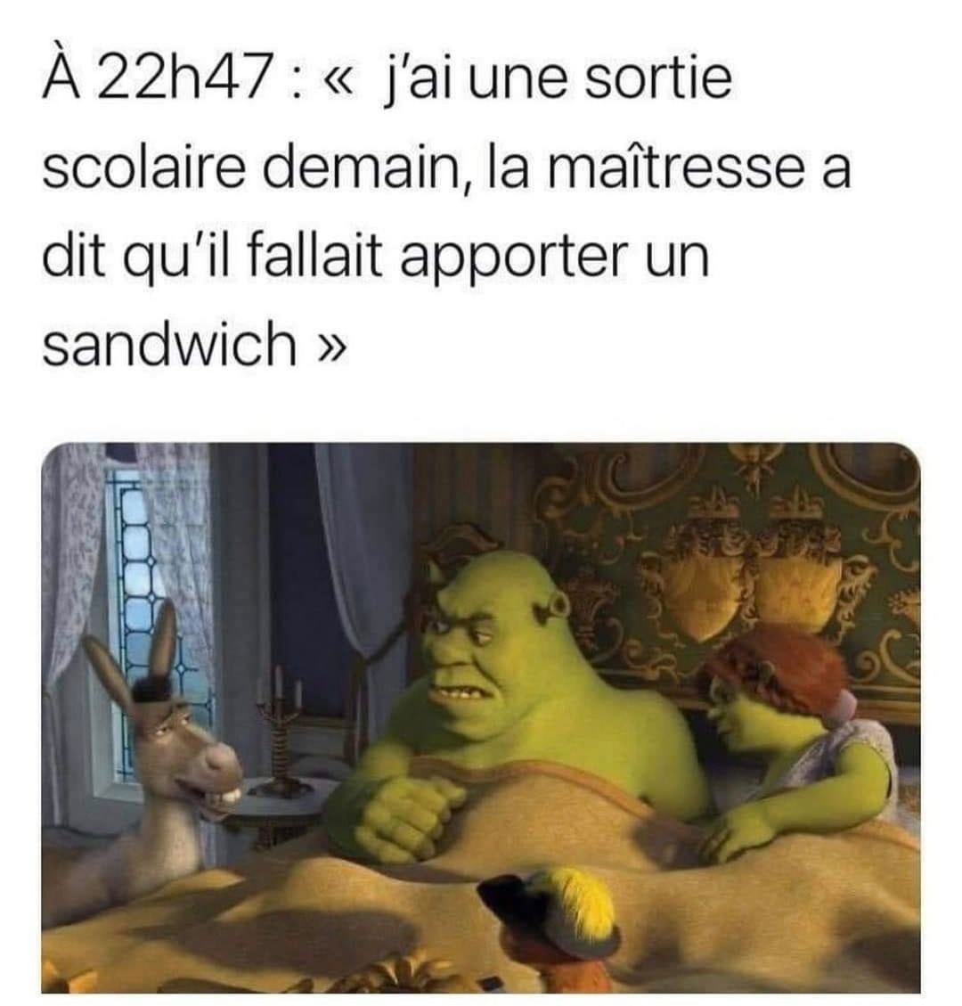 22h47 : maman j’ai une sortie scolaire demain et faut un sandwich - meme