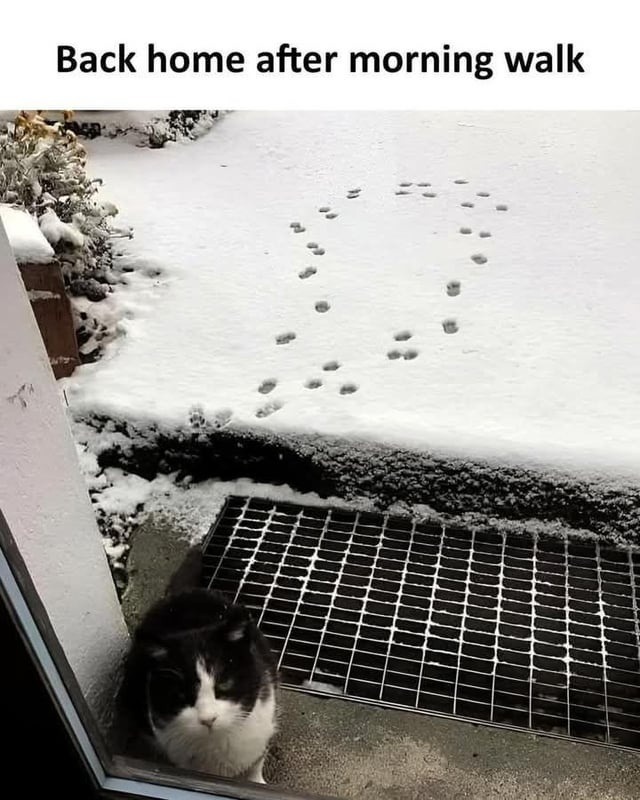 Me returning from a 10-minute walk like I survived war - meme
