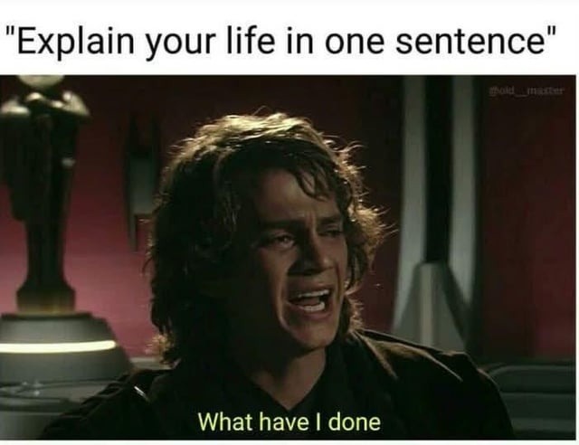 Explain your life in one sentence? What have I done - meme