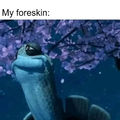Press F for master Oogway's foreskin