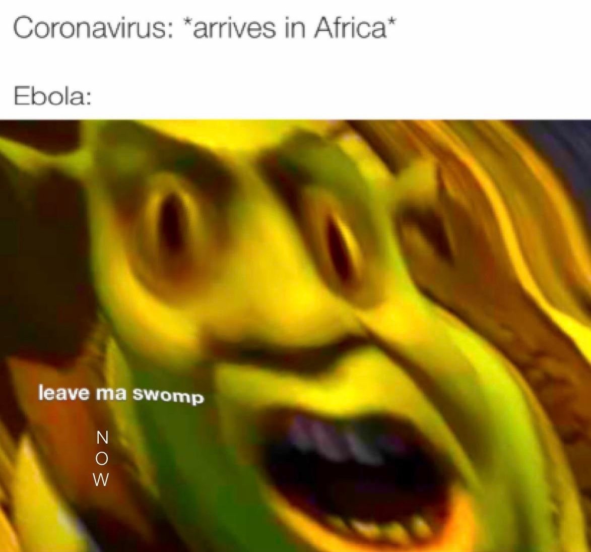 Coronavirus - meme