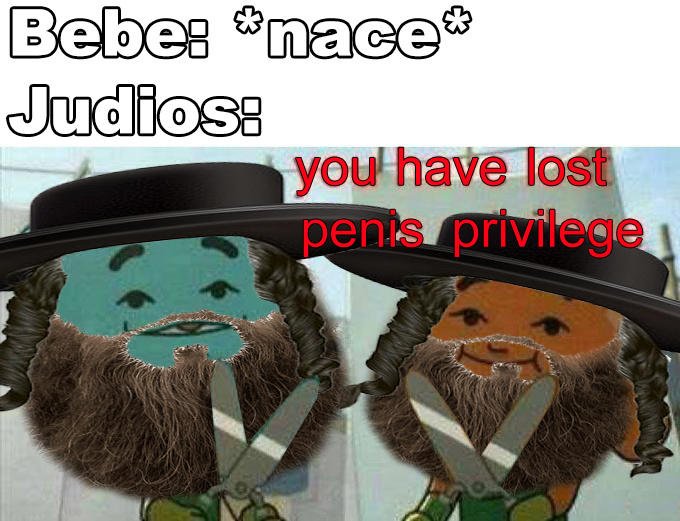You have lost penis privilege - meme
