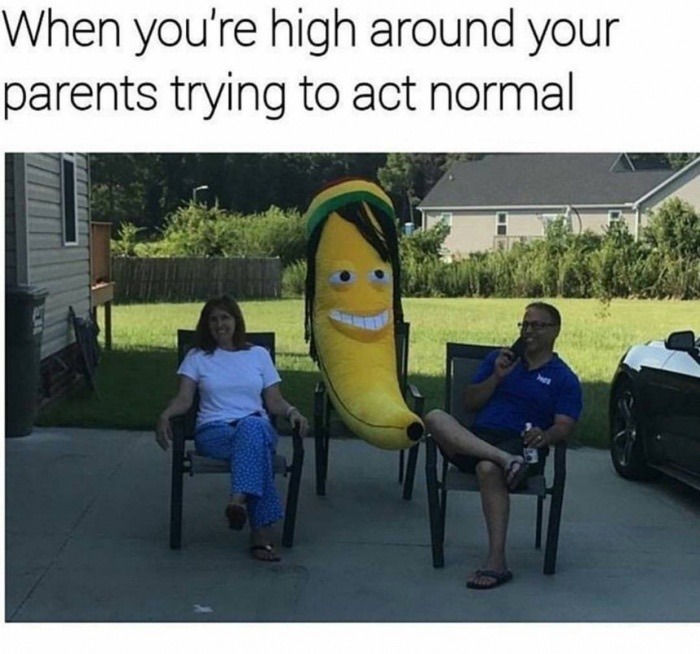 High around your parents - meme