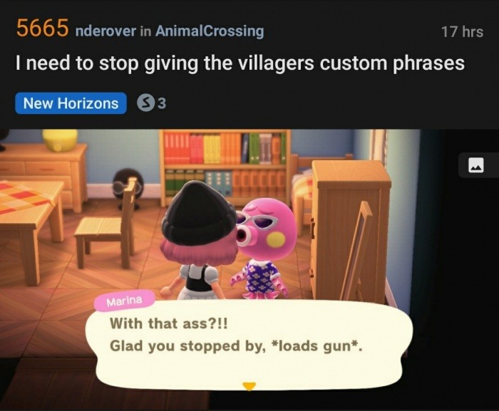 Animal Crossing New Leaf was better - meme