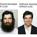 Software developers are like