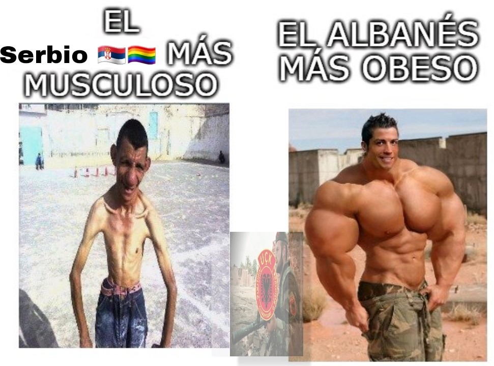 Puterbios vs Albachads - meme