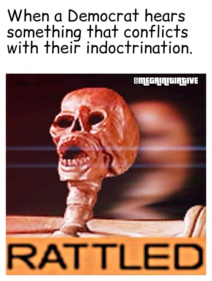 Democrats can't handle the truth - meme