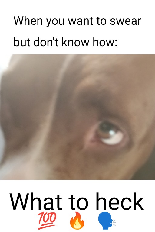 When you want to swear but don't know how - meme