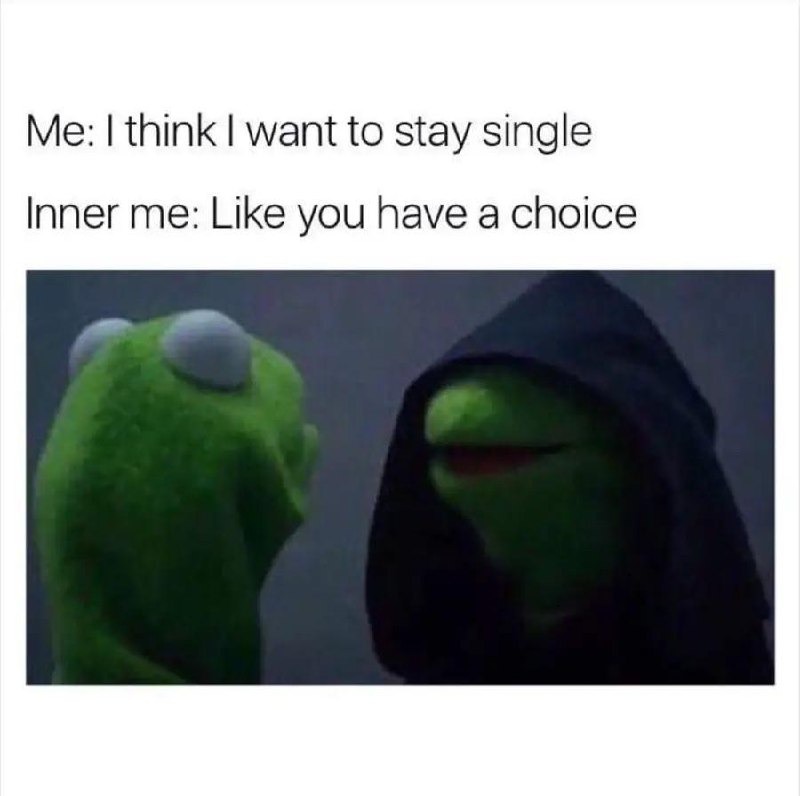 Me pretending I chose this single life - meme