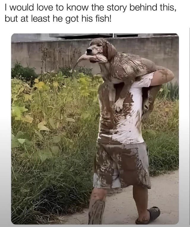 No idea what happened here but he earned that fish - meme