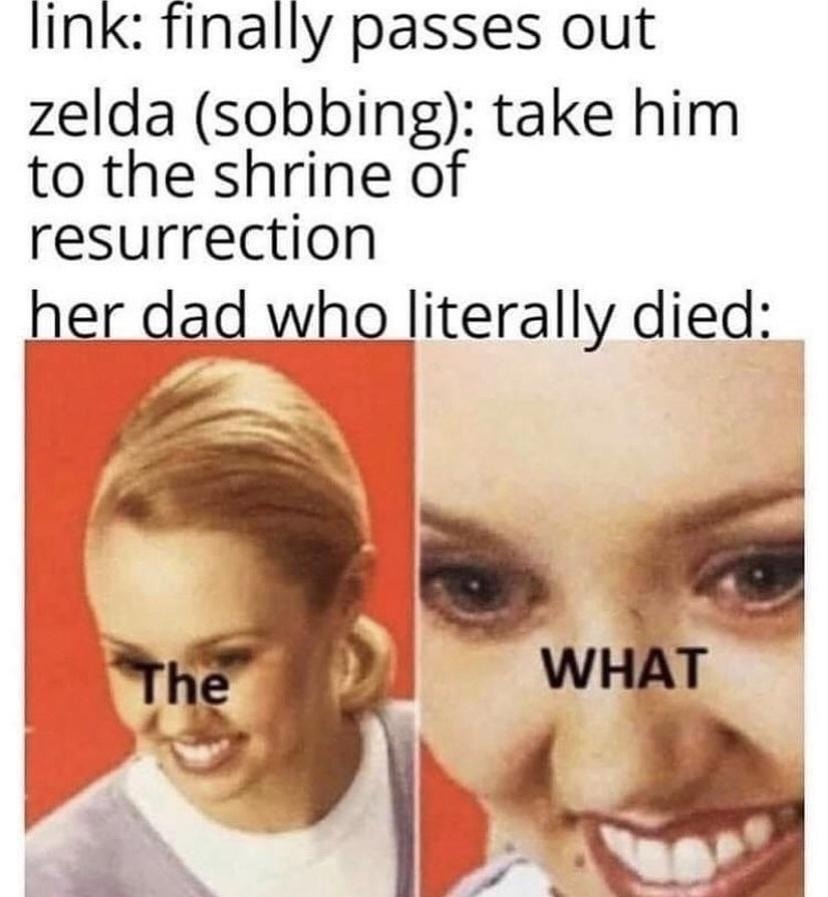 ﻿link: finally passes out zelda (sobbing): take him to the shrine of resurrection her dad who literally died: The WHAT