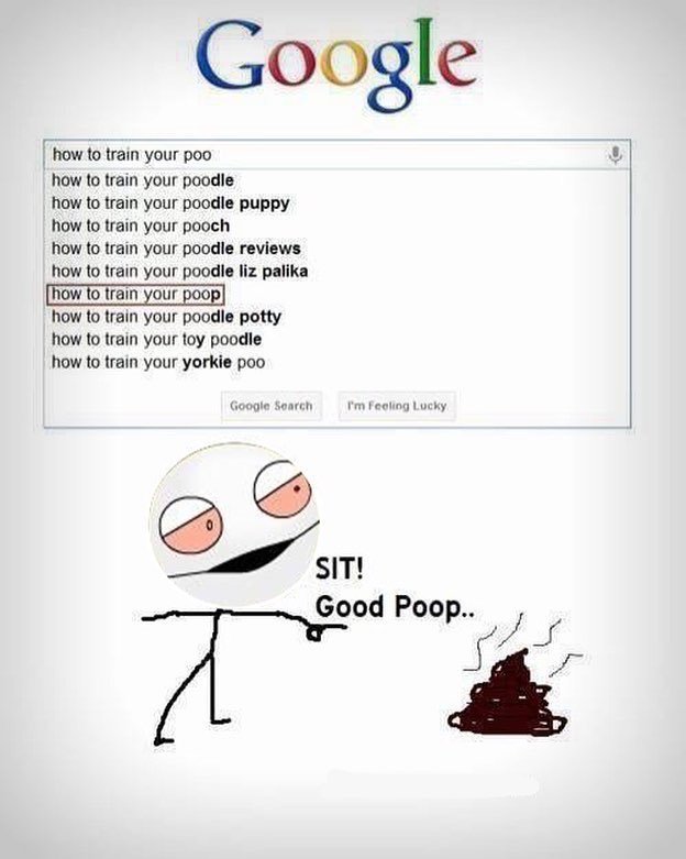 Training poops is so awesome - meme