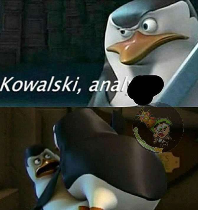 Kowalski opsiones - meme