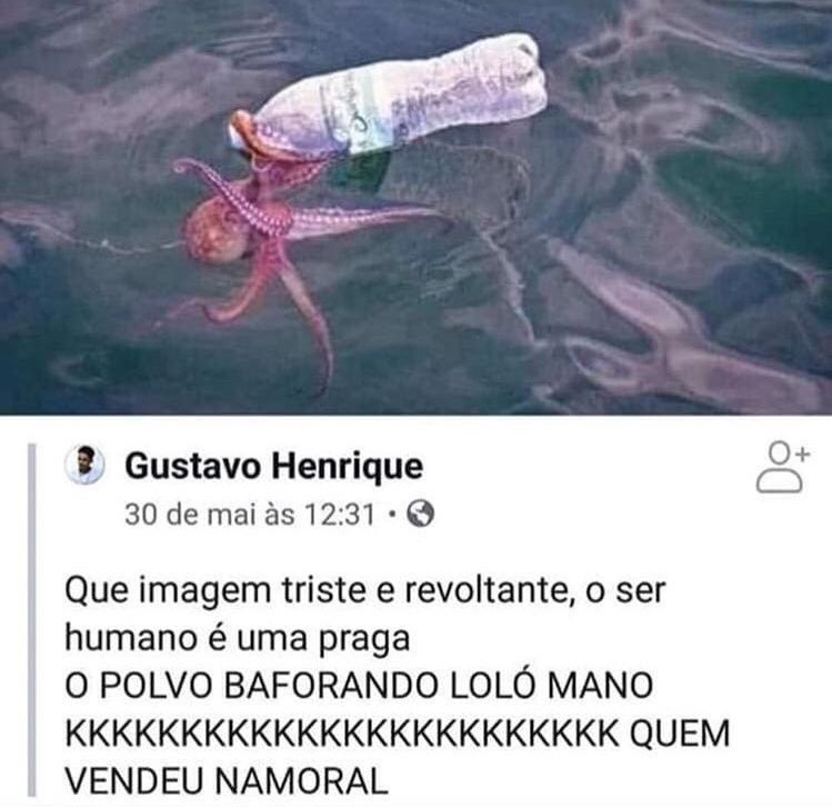 O POLVO BAFORANDO LOLÓ MANO KKKKKKKKKKKKKKKKKKKKKKKK QUEM VENDEU