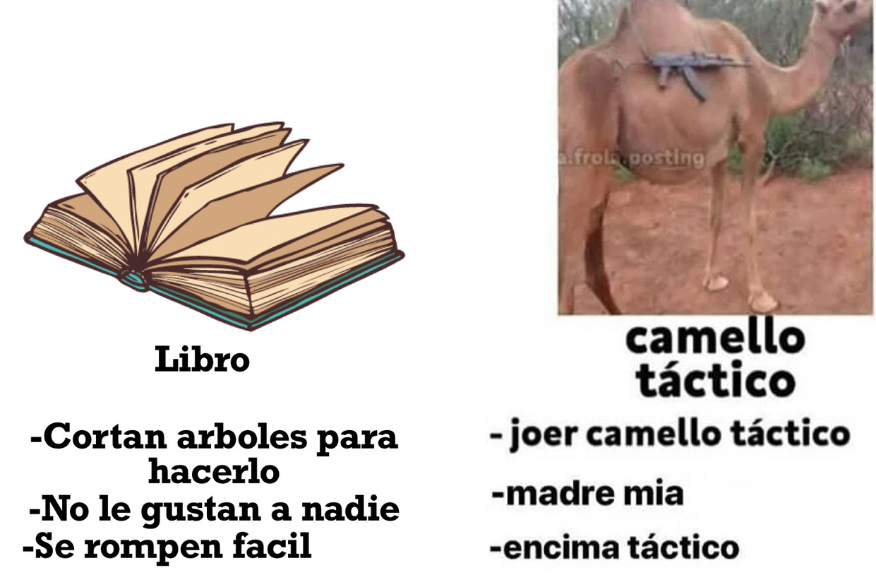 Camello Tactico - meme