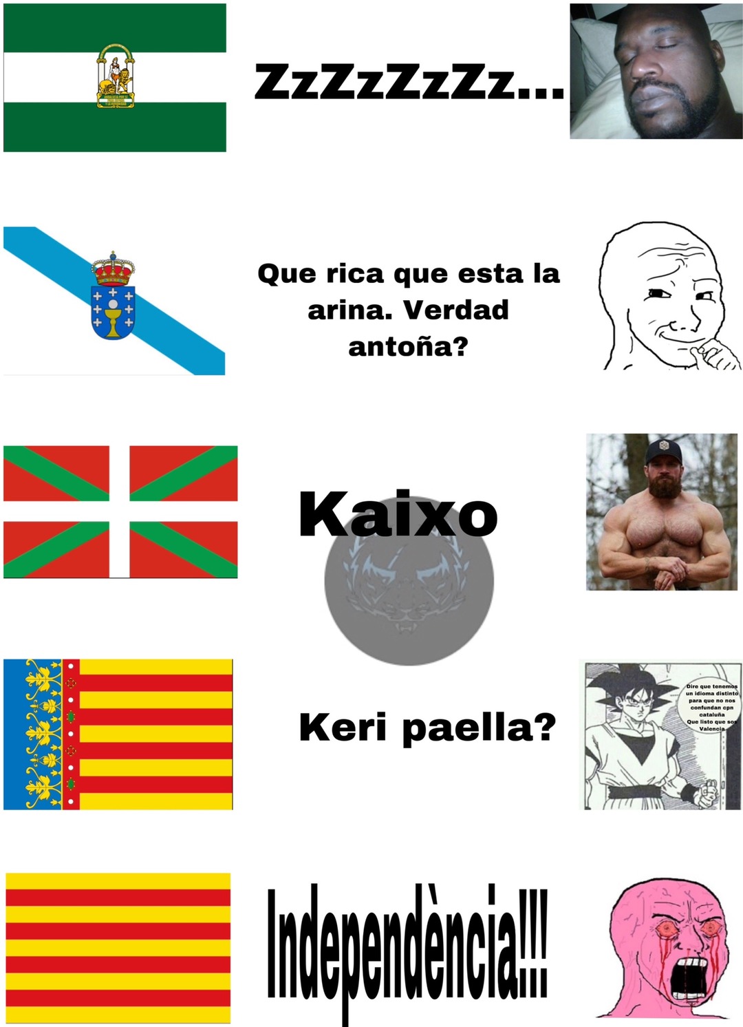 Andalucia, Galicia, Pais Vasco, Valencia y Cataluña para lo que no conozcan las banderas - meme