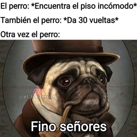 Fino Señores - Meme by Rei_do_vinhedo :) Memedroid