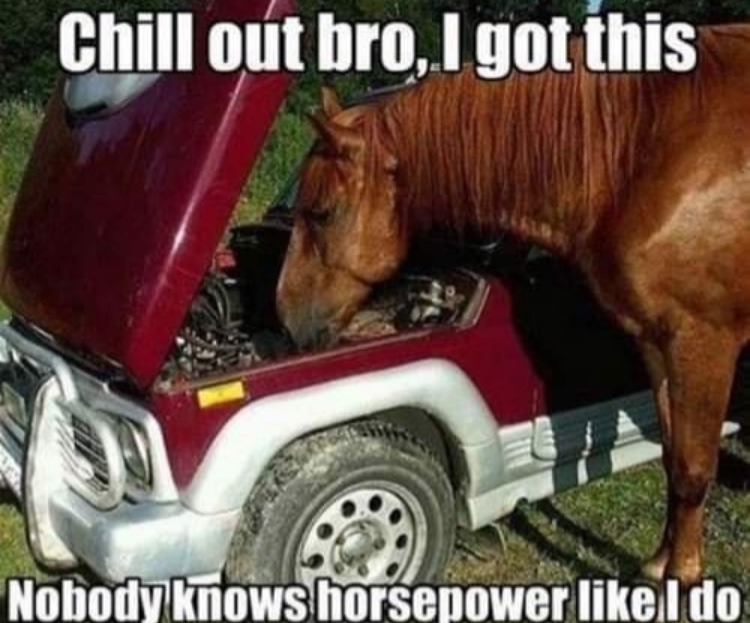 horsepower - meme