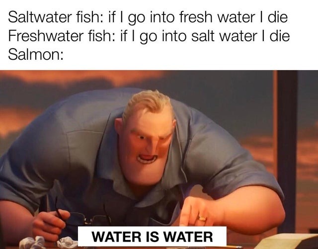 Salmon. Tough, tough fish - meme