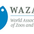 WAzzaa
