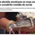 Alcalde mexicano y este cocodrilo